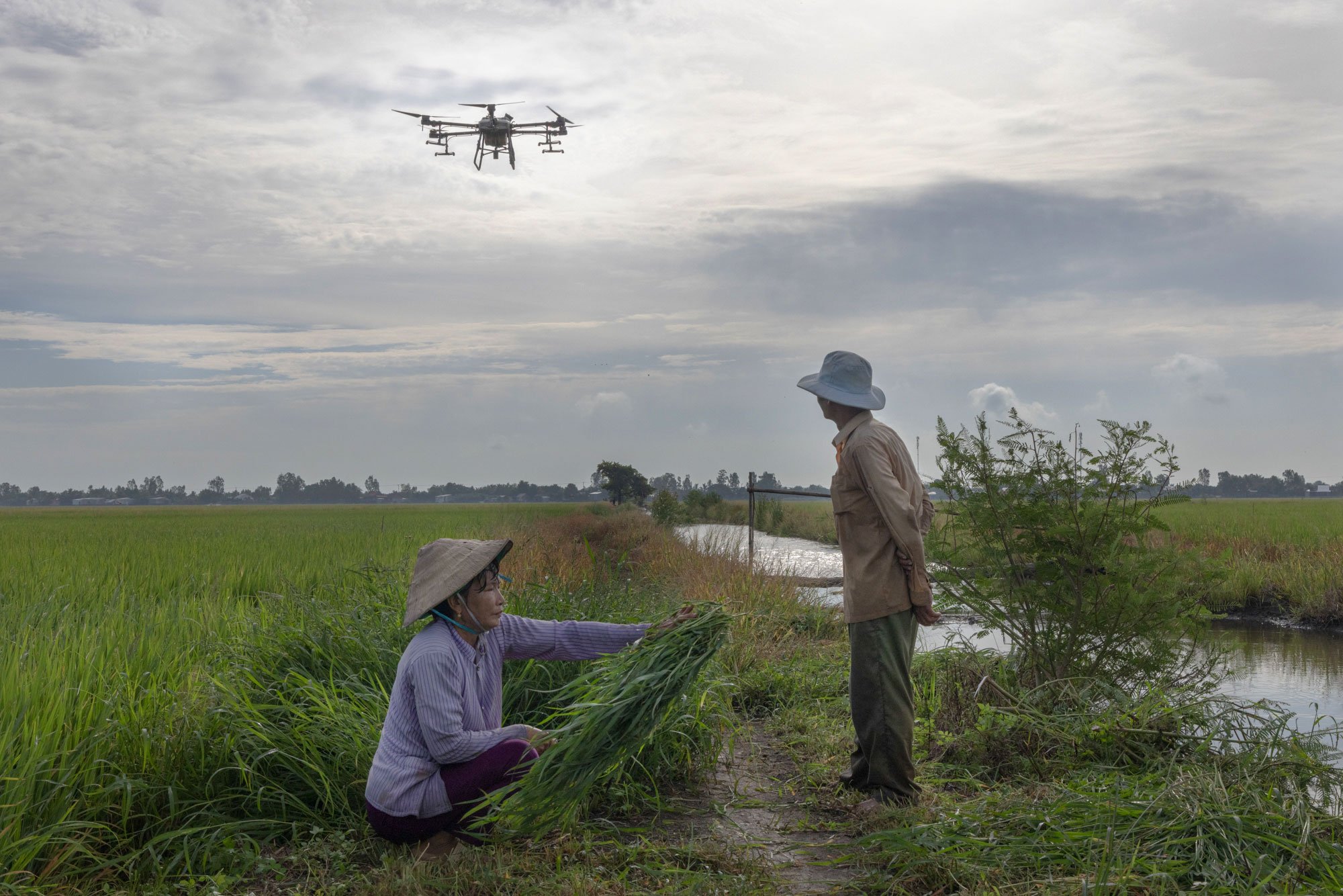 drone farming in Vietnam