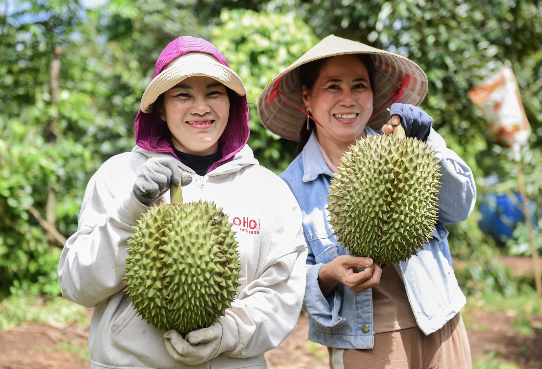 Vietnam's durian